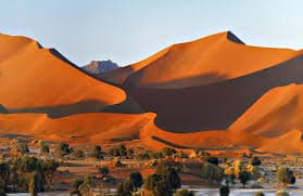 Safari Self-Drive in Namibia – Avventura tra Deserto, Costa e Fauna Selvatica