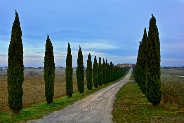 Fly & Drive von Rom nach Venedig