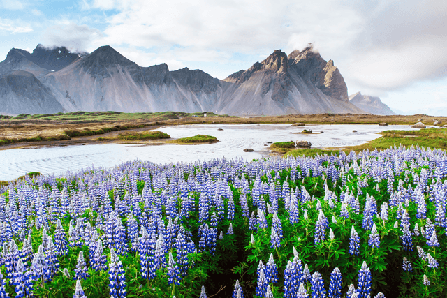 Self-DriveIceland's Greatest Hits