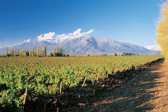 Chile Discovery Journey